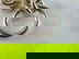item-207658062=5