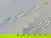 item-207660673=4