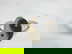 item-207661045=2