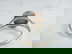 item-207661045=3