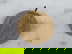 item-208305864=1