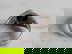 item-208305952=3