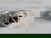 item-208305952=4