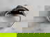 item-208306028=3