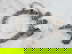 item-210620640=1