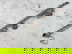 item-210620640=2
