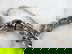 item-210620640=3