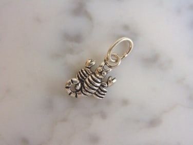 Womens Vintage Estate Sterling Silver Scorpion Pendant