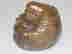 item-38092699=4