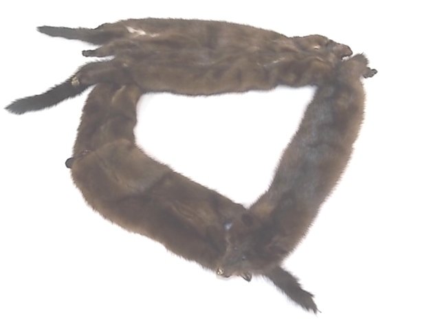 VINTAGE ANTIQUE DARK BROWN MINK FUR STOLE (1 of 4)