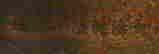 item-40607993=4