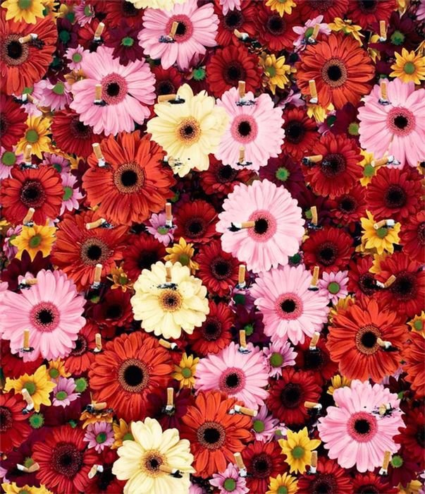 DAMIEN HIRST- BEAUTIFUL INSIDE MY HEAD FOREVER (1 of 6)