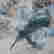 item-117797955=3