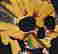 item-126720139=2
