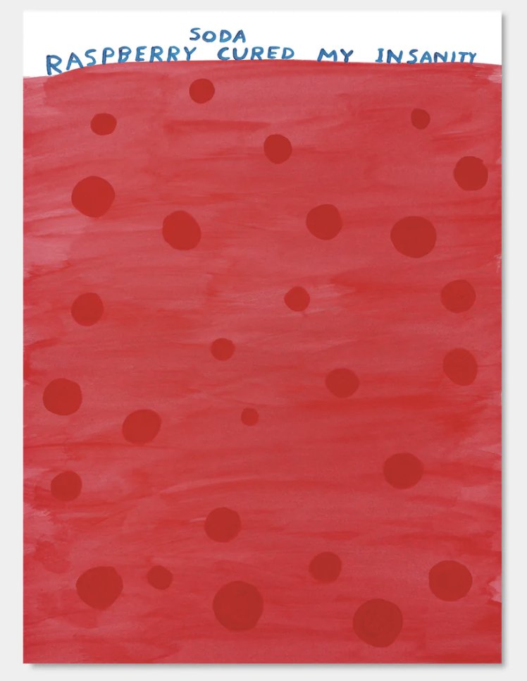 DAVID SHRIGLEY - Raspberry Soda Cured My Insanity (1 of 3)