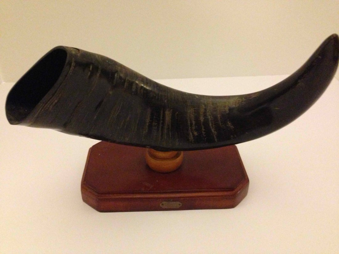 The Mexican Horn Desk ornament Screen used Prop: From the 2001 Brad Pitt film "The Mexican" comes this really cool screen used movie prop. It is an animal antler on a very nice stand. The antler is approximately 10 1/2" long. It comes with a COA.