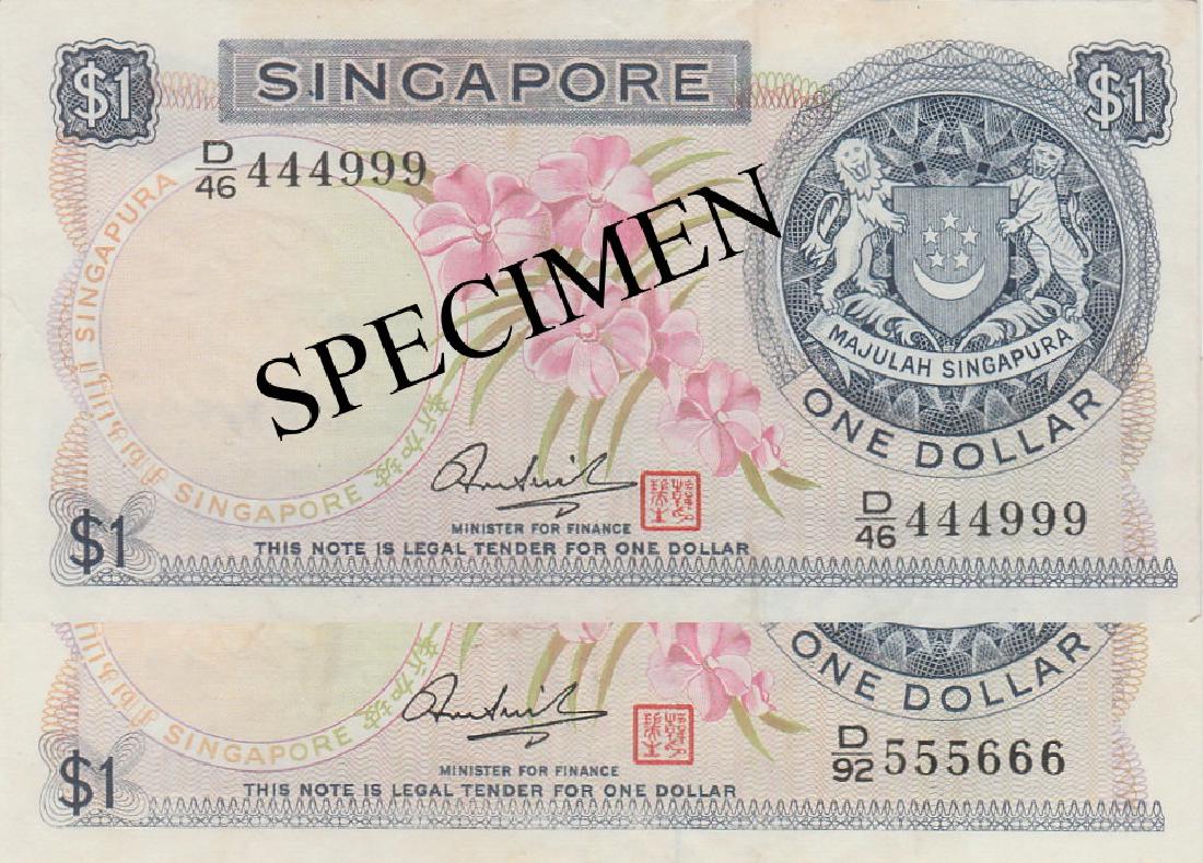 SG Orchid Series (1 of 1)