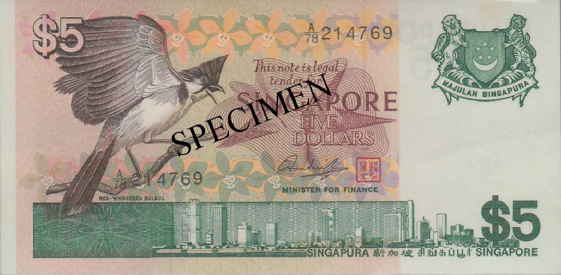 SG Bird Series (1 of 1)