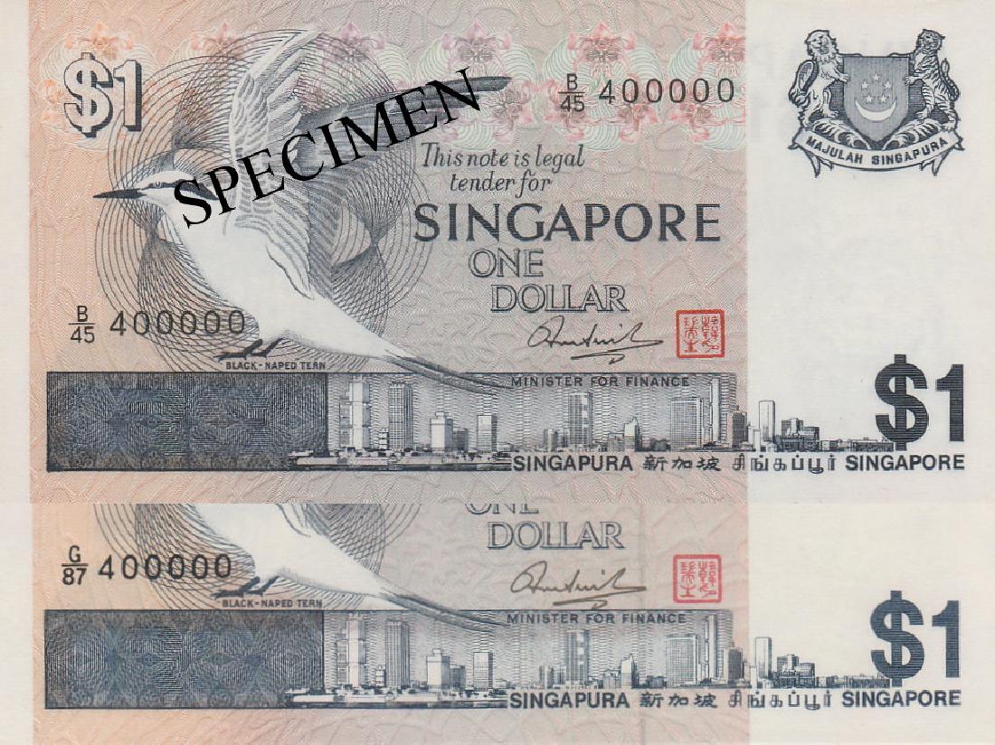 SG Bird Series (1 of 1)