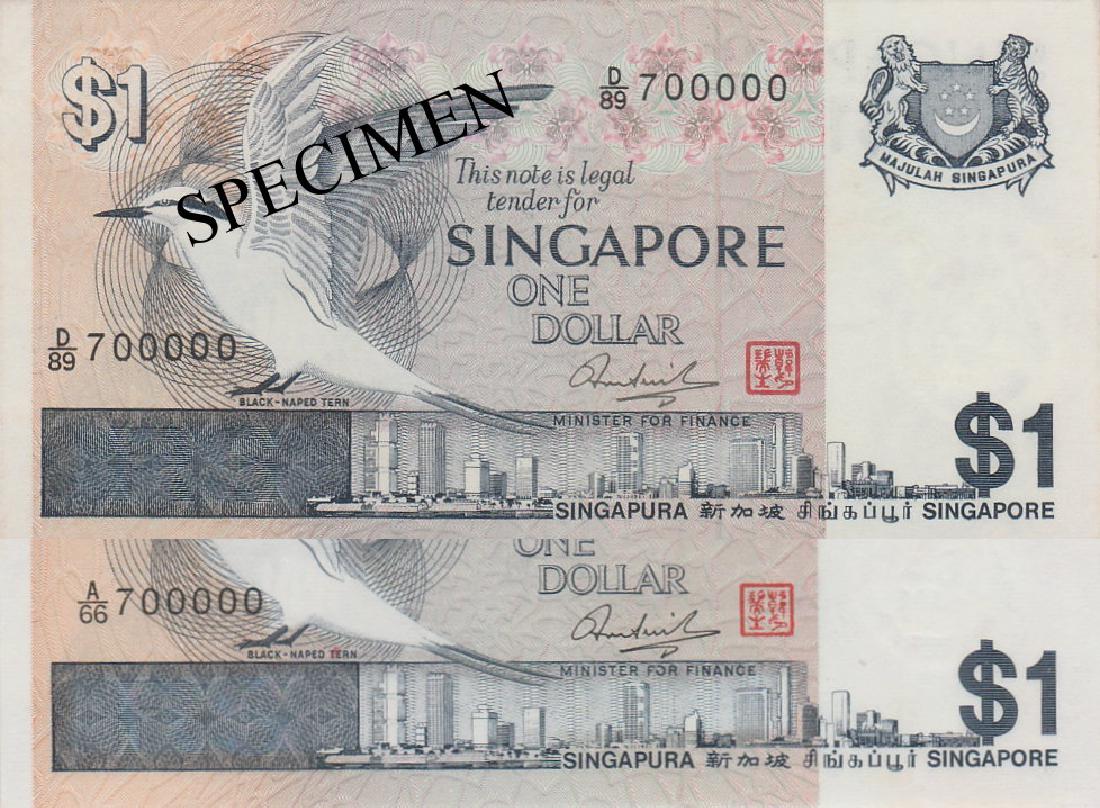 SG Bird Series (1 of 1)