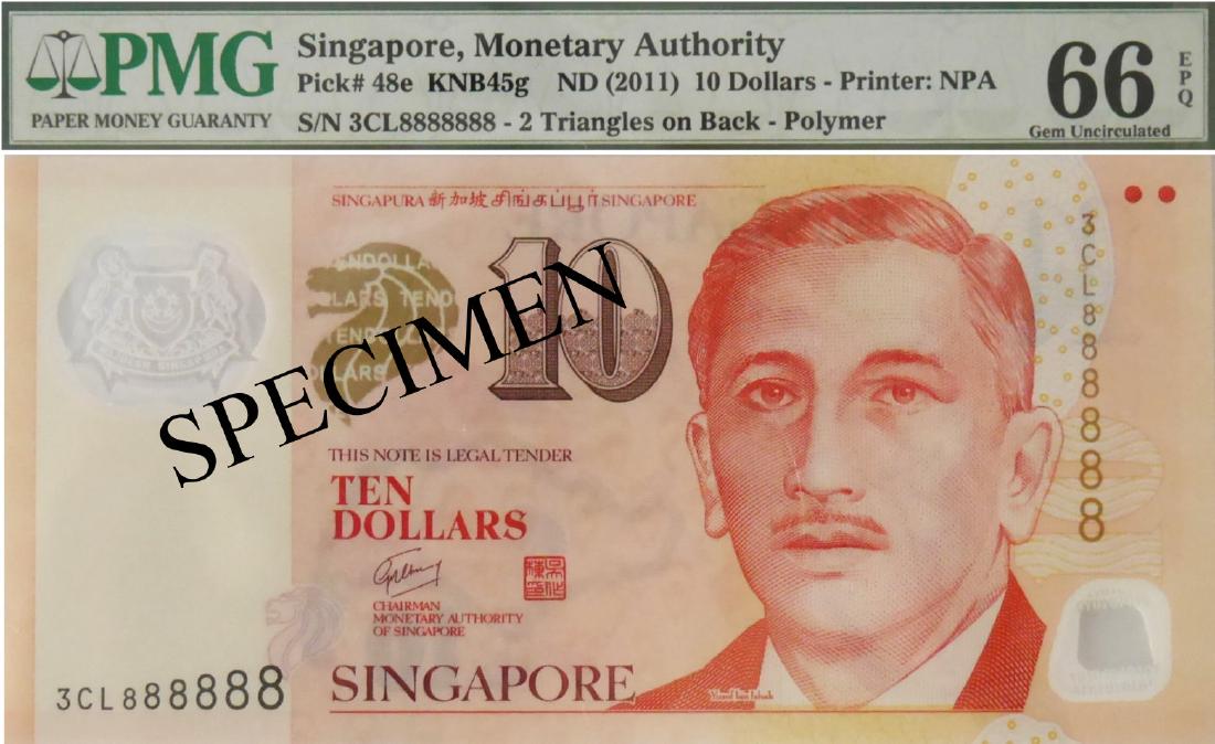 SG Portrait Series (1 of 1)