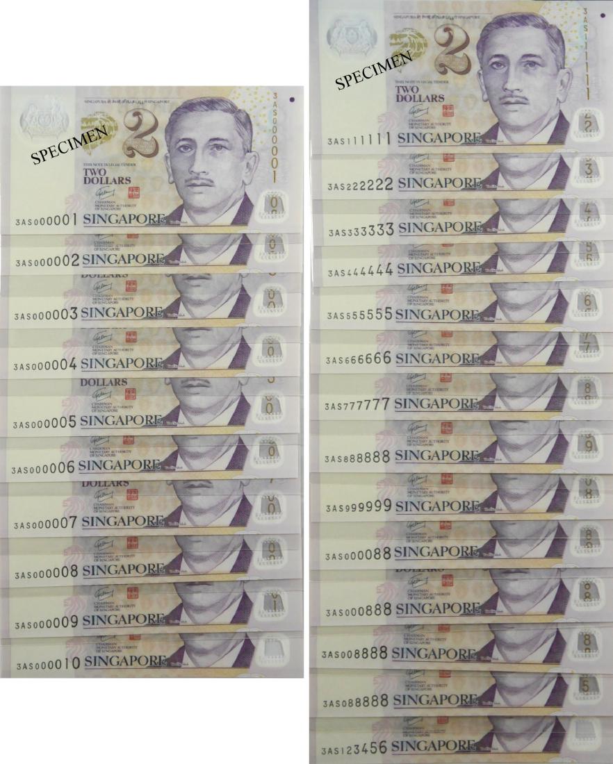 SG Portrait Series (1 of 1)