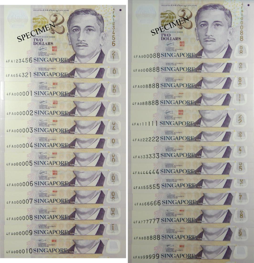 SG Portrait Series (1 of 1)