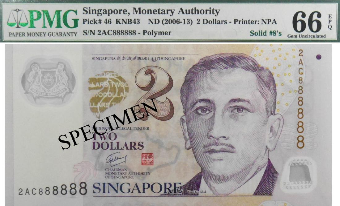 SG Portrait Series (1 of 1)