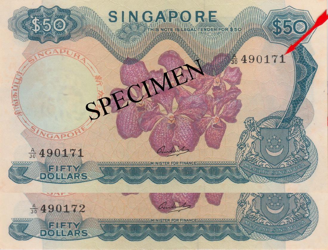 Singapore, Orchid series (1 of 1)