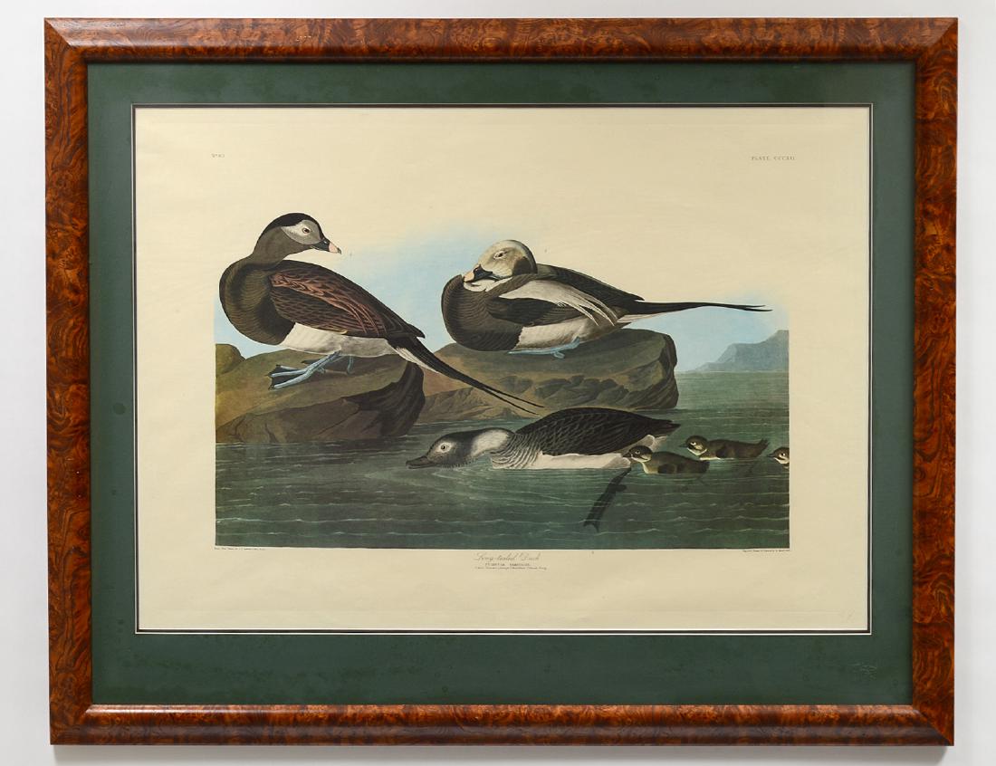 JOHN JAMES AUDUBON (American. 1785-1851) (1 of 5)