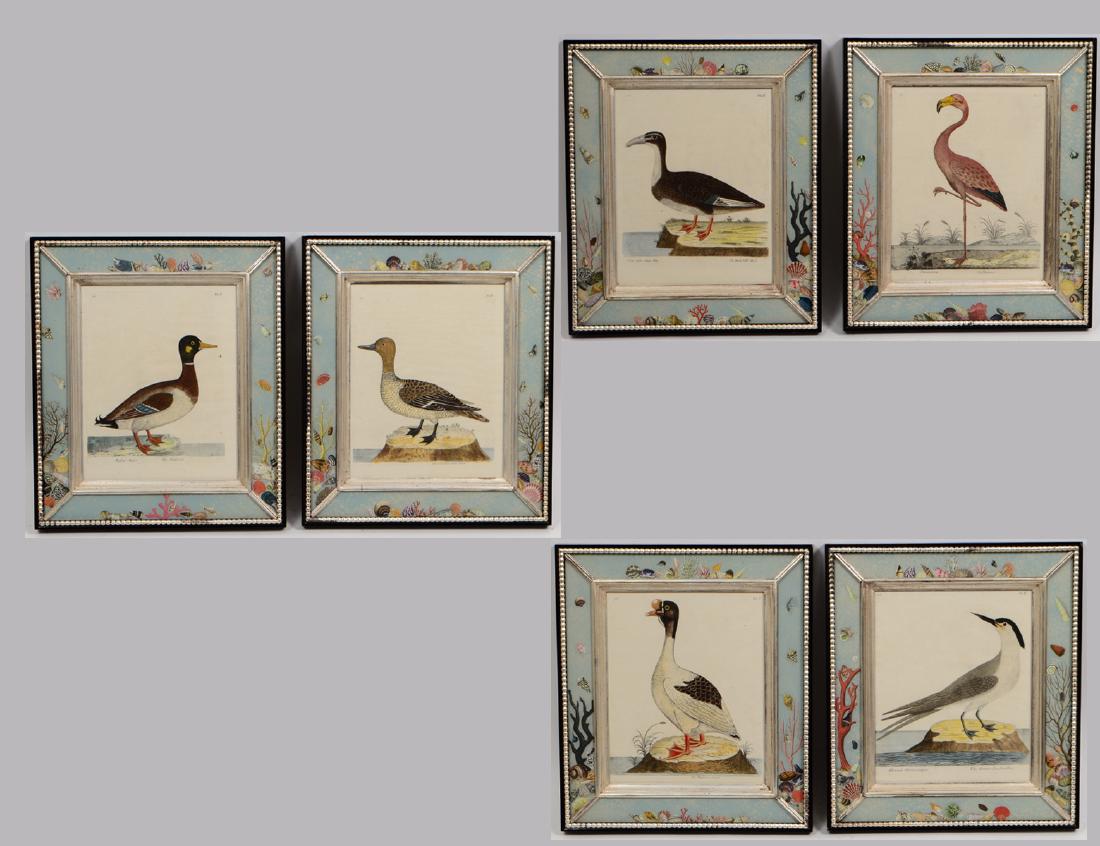 GROUP OF SIX ENGLISH ANTIQUE HAND COLORED ENGRAVINGS OF (1 of 10)