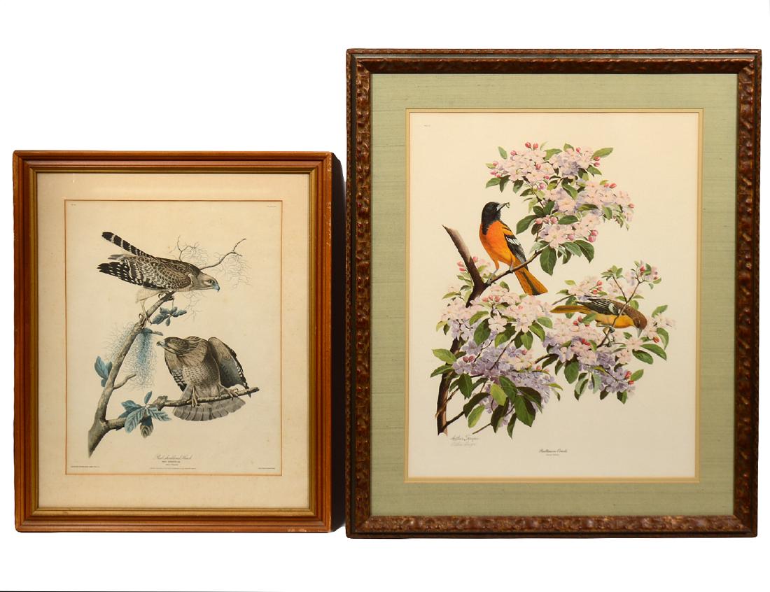 JOHN J. AUDUBON (American. 1785-1851) (1 of 5)