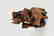 JAPANESE CARVED WOOD ASTROLOGICAL ANIMAL GROUP - 9