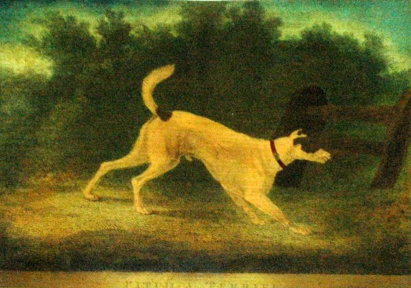 SET OF FOUR ENGLISH SPORTING SCENES (20th Century) - 4