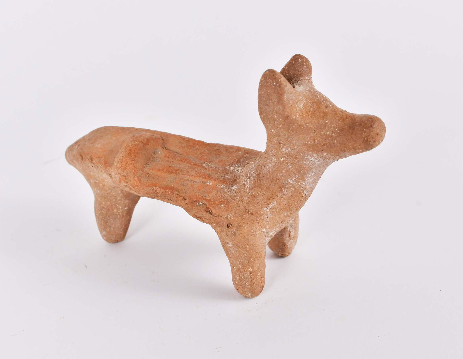 TERRA COTTA BENCH IN THE FORM OF A JACKEL: Probably Hellenistic Period, circa 300 B.C.E. The rectangular bench with the head of a jackal at one end, the surface supporting a hammer and chisel, loss to one side, with the possible loss of one re