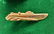 NINE PRESIDENTIAL TIE BARS, A PIN AND A MEDAL - 10