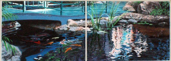 DAVID KESSLER (20th Century): DAVID KESSLER (20th Century) "Koi Pond". Color Lithograph. Two 30" by 39" sheets framed together. (Cond: good) (800/1000)