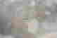 item-89550152=8