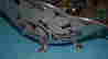 item-6939028=4