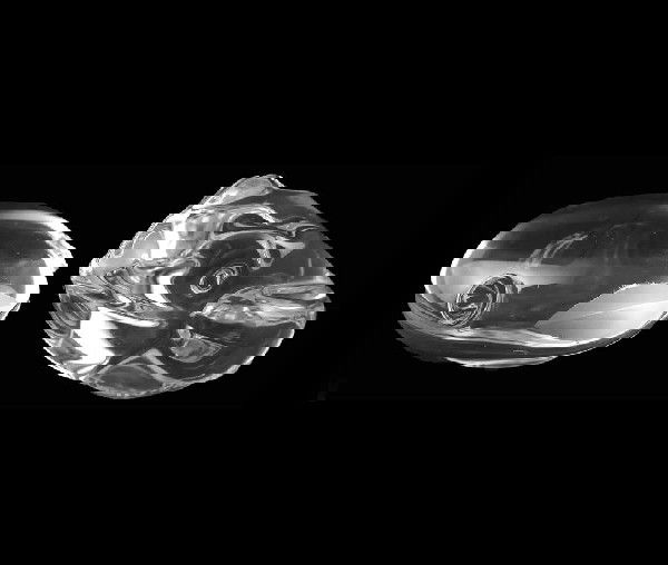 TWO CRYSTAL ANIMALS: The first of a frog by Daum. Signed. Length 2 ¾". The second of a fish hand cooler by Spode. Length 2 ¾". (50/80)