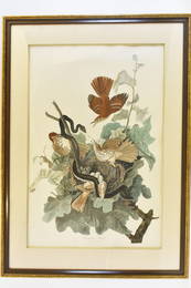 JOHN JAMES AUDUBON (American. 1785-1851)