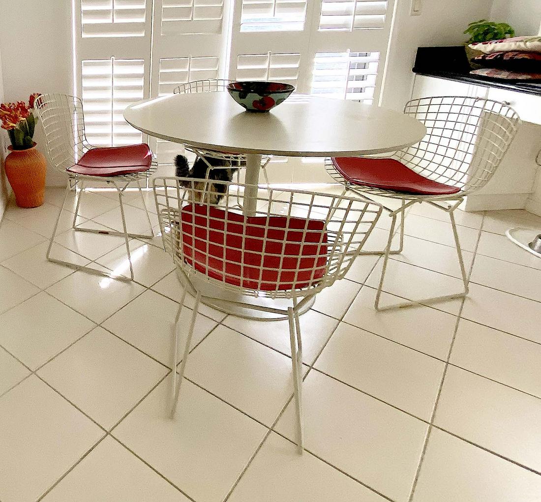 SET 0F FOUR BERTOIA SIDE CHAIRS (1 of 5)