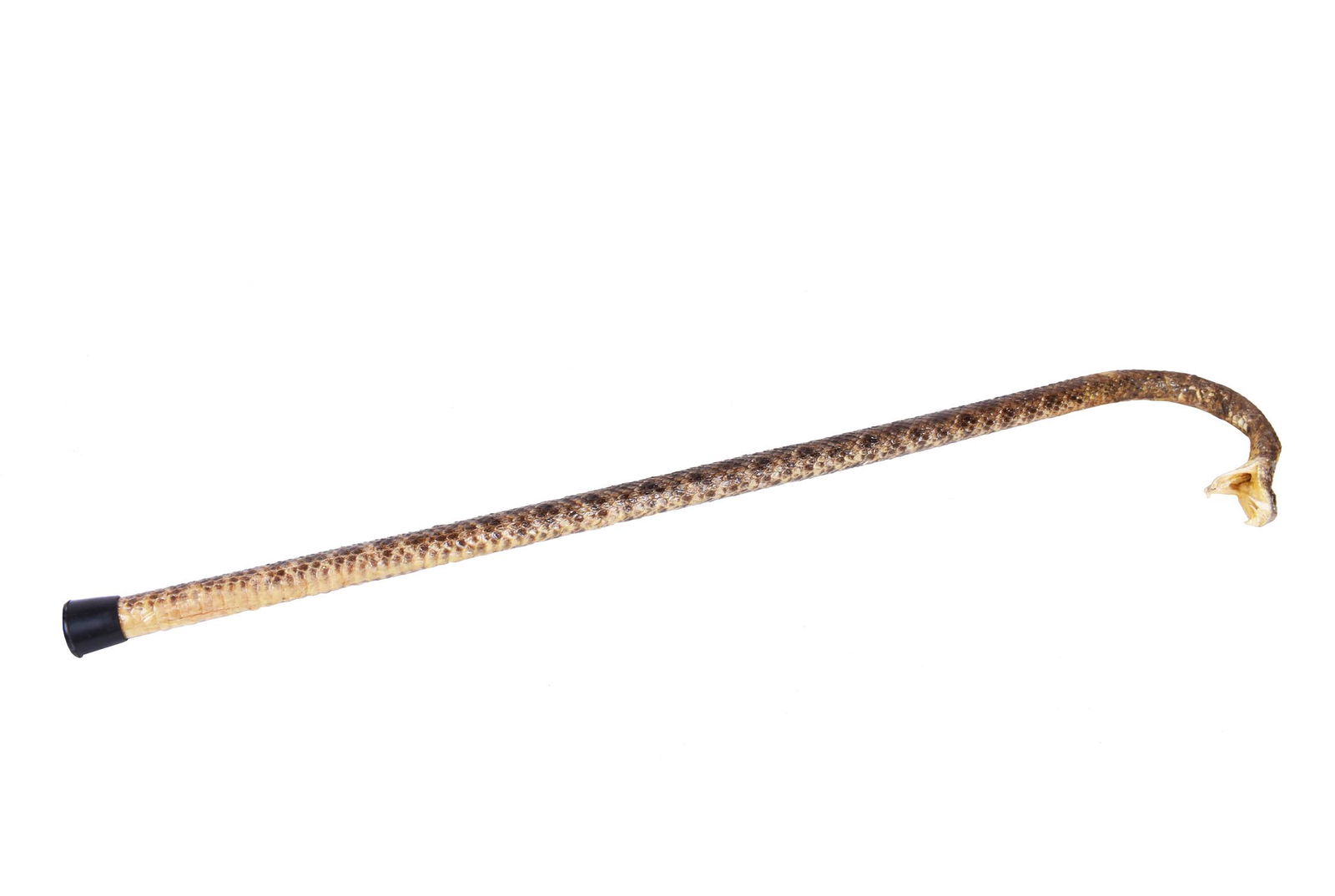 AN UNUSUAL RATTLESKIN COVERED WALKING STICK (1 of 4)