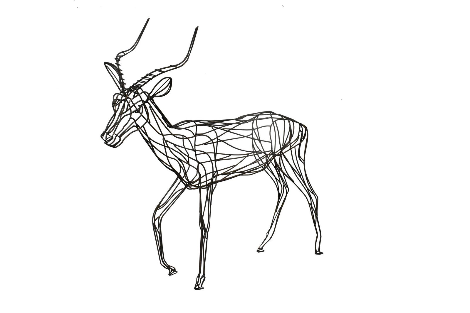 STANDING METAL ROD SCULPTURE OF A DEER: Contemporary. The standing male deer with antlers. height is 50 in., width is 46 in., depth between the horns is 11.5 in. Cond: Some minor oxidation.