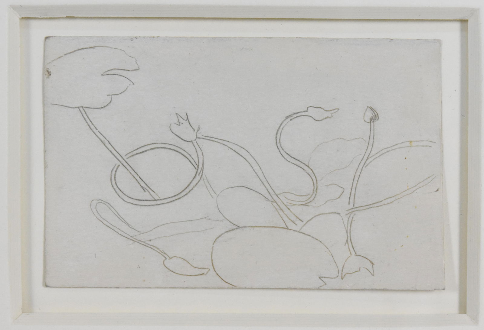 Joseph Stella (American 1877-1946) Waterlillies, c. 1920"s. silverpoint on paper, verso with Eaton: Joseph Stella (American 1877-1946) Waterlillies, c. 1920"s. silverpoint on paper, verso with Eaton Fine Art, West Palm Beach Gallery Label, Sheet-3 1/2" x 5 1/8", Framed-10 1/2" x 11 3/4", Good Condit