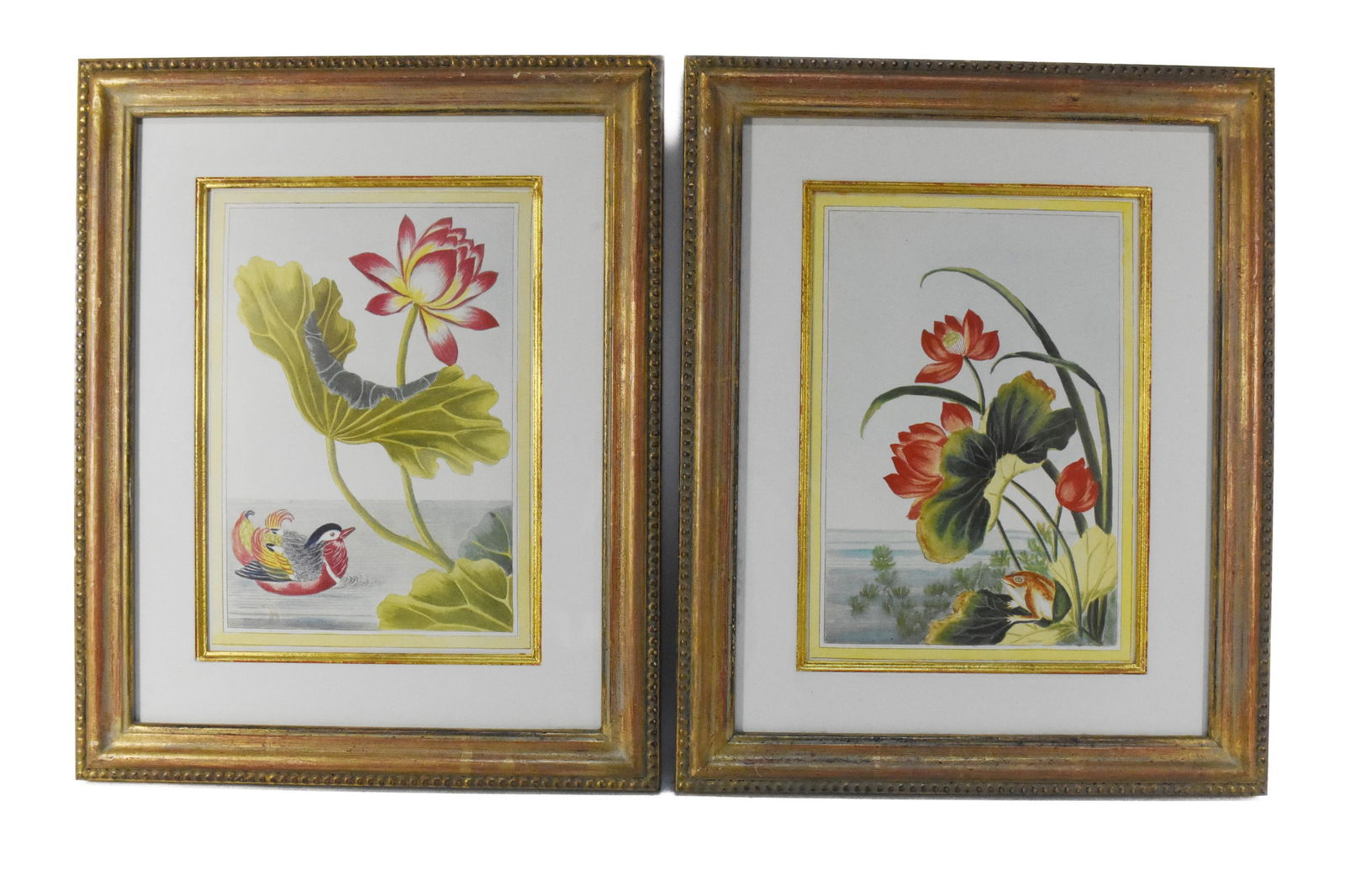 Pair of Botanical Prints of Fowl and Fauna, 20th Century, both bear Trowbridge Gallery labels on (1 of 6)