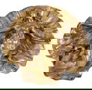 Gilt Bronze Figural Bas-Relief Plaque of a Mermaid Before a Shell, c.1900 marked on the underside,