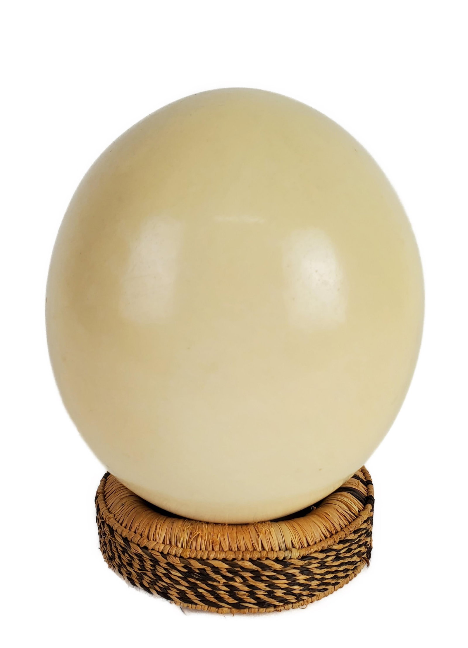 Ostrich Egg on Fiber Woven Stand, Approx. 6: h 5" w.: Ostrich Egg on Fiber Woven Stand, Approx. 6: h 5" w.