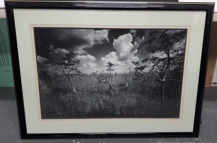 Clyde Butcher (American, b.1942) Cypress Swamp #7, Large Format Black and White Photograph, Signed