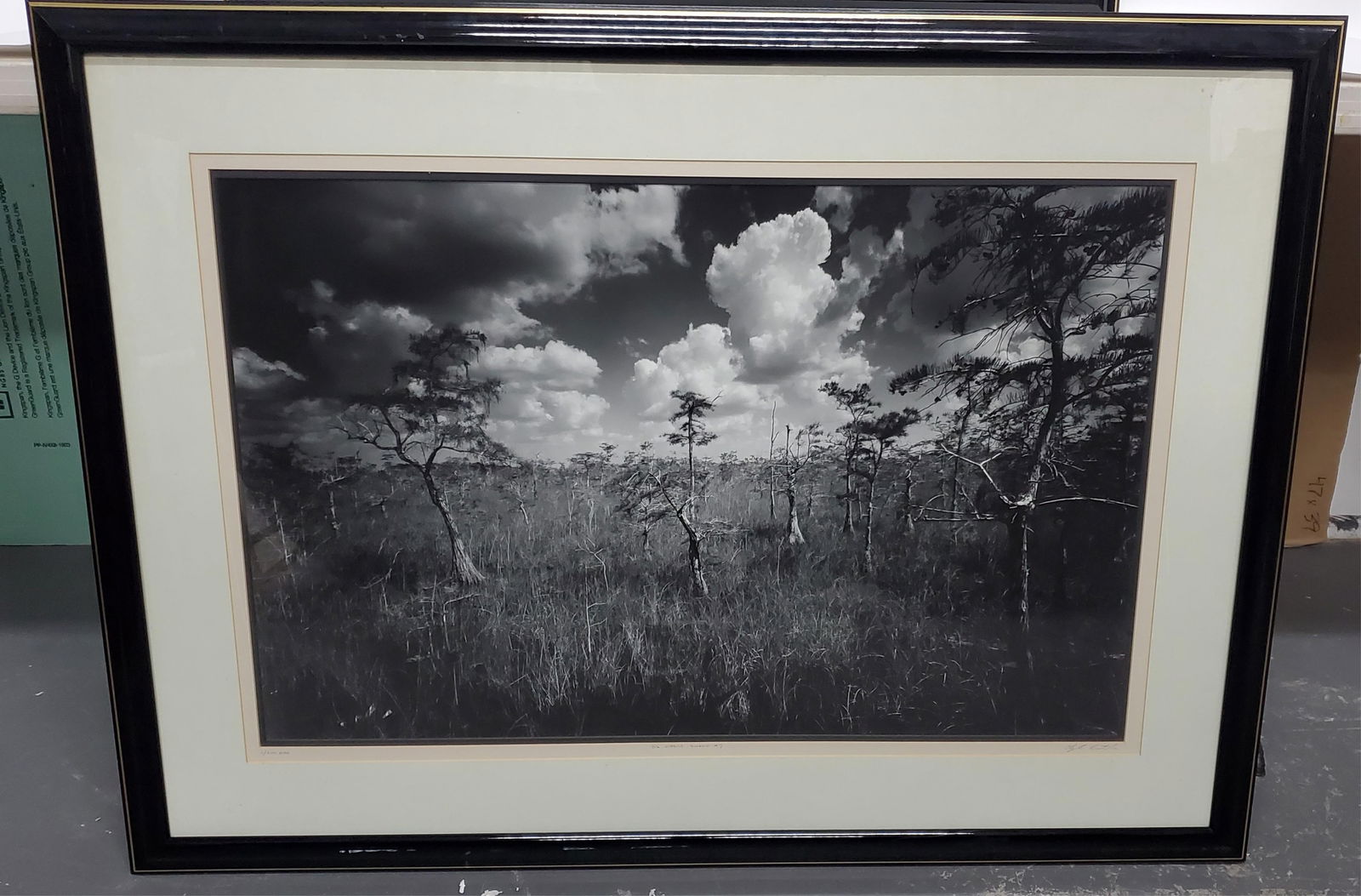 Clyde Butcher (American, b.1942) Cypress Swamp #7, Large Format Black and White Photograph, Signed (1 of 4)